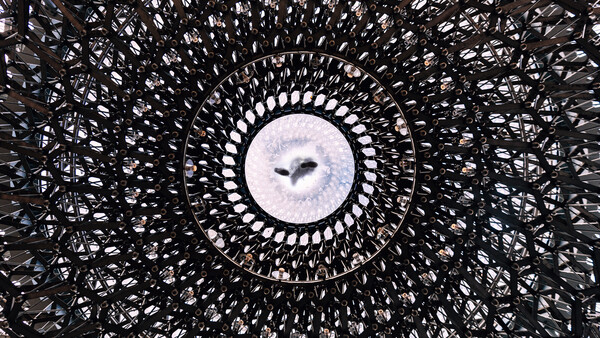 Looking up through a geometric lattice structure at a circular opening framing the sky and birds in flight.