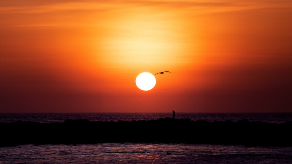 Bright sun setting over ocean horizon with silhouetted figure and bird in flight against orange sky.