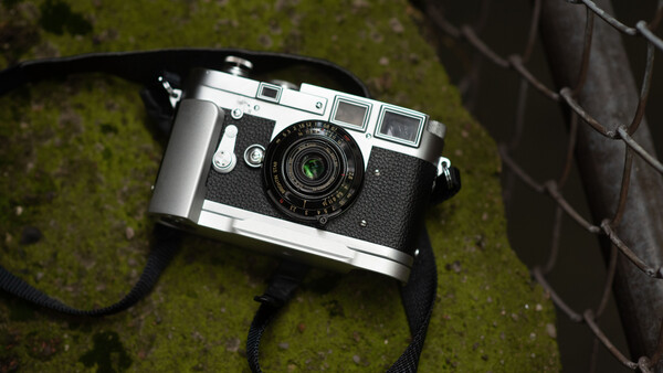 Vintage rangefinder camera with chrome top plate and black leather strap resting on moss-covered ground.