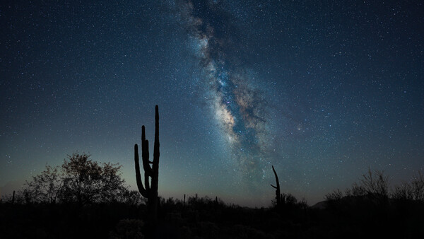 Saguaro cactus silhouetted against the Milky Way stretching across a starry night sky.