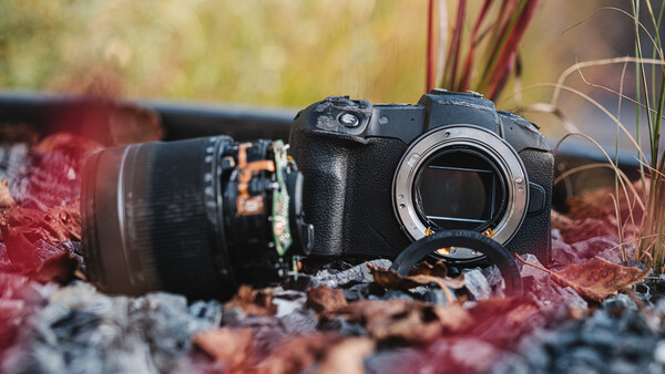 Mirrorless camera body with attached lens resting on autumn leaves and moss.