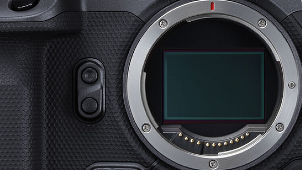 Camera body with open mirror box showing sensor and lens mount contacts.