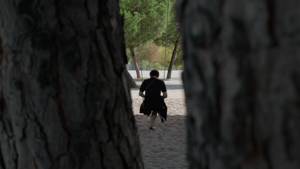 Person in black clothing framed between tree trunks, viewed through foreground foliage in sharp focus.