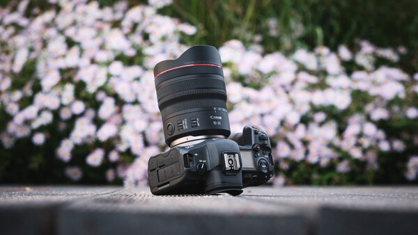 DSLR camera with wide-angle lens positioned on concrete surface, with soft-focus flowers in background.