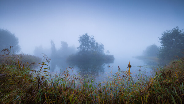 Misty lake landscape with reed-covered shoreline and forested islands shrouded in fog.