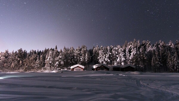 Snow-covered cabins nestled against a forested shoreline under a starry twilight sky.