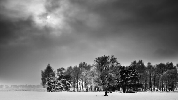 Stark winter landscape with tree line and snow-covered field under dramatic cloudy sky.