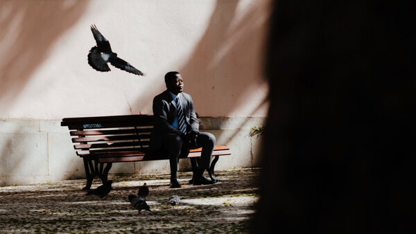 Man sitting on a bench watching a bird in flight against a sunlit wall.
