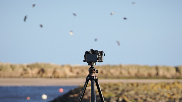Camera mounted on tripod pointed at sky with birds in flight and landscape below.
