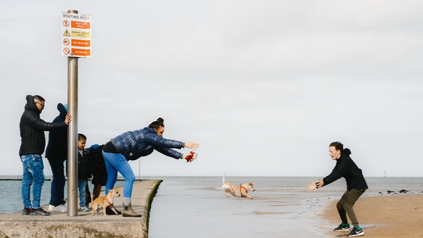Group of people playing in shallow water at a beach near a warning sign post.
