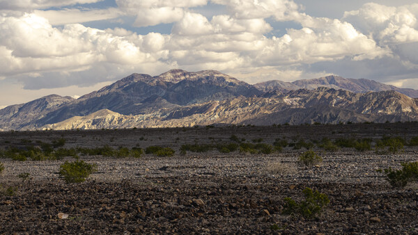 Rocky desert foreground with sparse vegetation beneath snow-capped mountains under partly cloudy sky.
