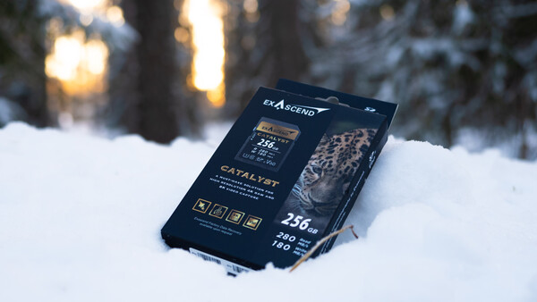 SSD storage device packaging positioned in snow with winter forest and golden sunlight in background.