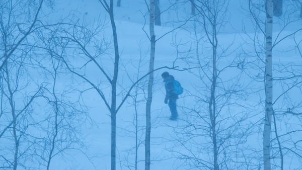 Silhouetted figure standing among bare birch trees in heavy fog or mist.