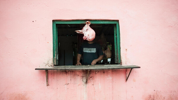 Person leaning out of a window with green frame on a weathered pink wall.
