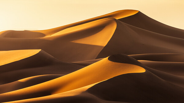 Desert sand dunes with dramatic golden and shadow contrast at sunrise or sunset.