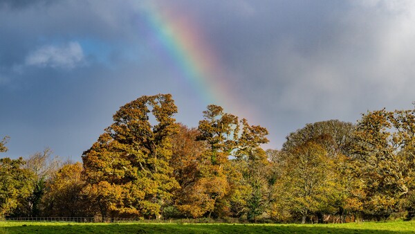 Rainbow arcing over a pastoral landscape with golden autumn trees and green meadow.