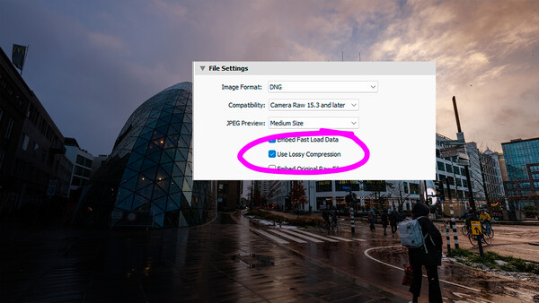 Screenshot of file settings dialog with DNG format and lossy compression options highlighted in magenta.