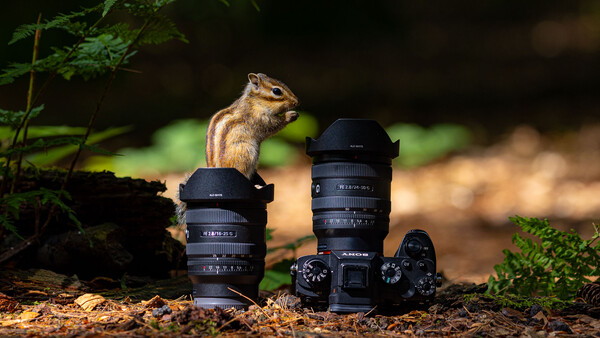 Ground-level composition of camera lenses and body with a small ground squirrel perched on a log behind them.