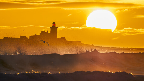 Silhouetted cityscape with cathedral at sunset, large sun behind golden sky and haze.