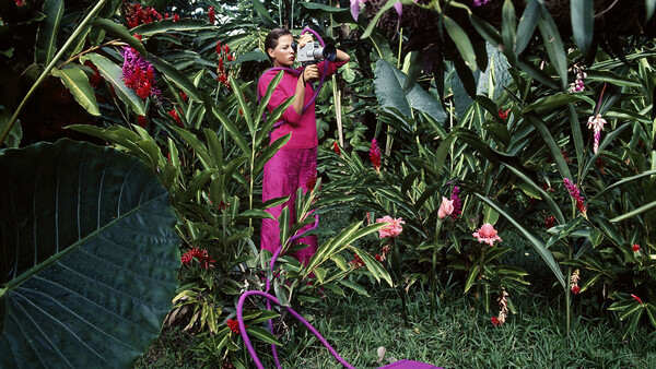 Purple vintage television set displaying a butterfly among vibrant magenta flowers and green foliage in a garden setting.