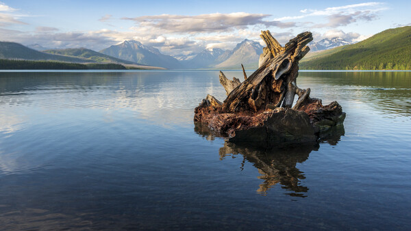 Weathered driftwood log protruding from calm alpine lake with snow-capped mountains in the background.