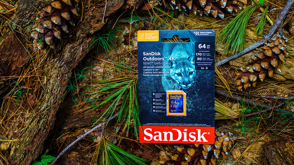 SanDisk Outdoors memory card with orange casing displayed on forest floor surrounded by pinecones and evergreen needles.