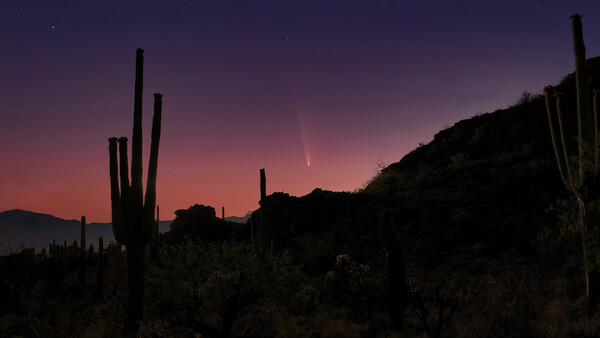 Silhouetted saguaro cacti against a deep purple twilight sky with a comet visible overhead.