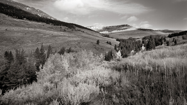 Rolling mountain valley with scattered evergreen and aspen forests under dramatic cloudy sky.