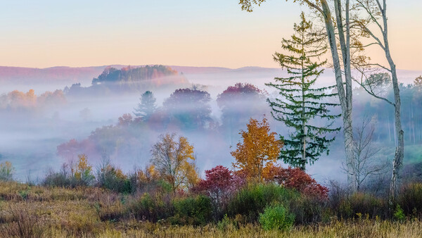 Misty valley landscape with layered evergreen and autumn trees at dawn.