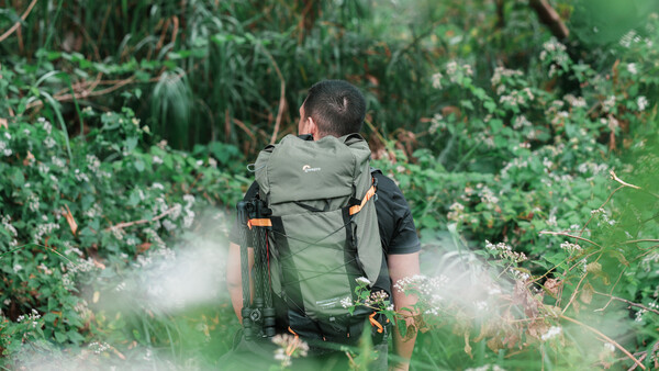 Hiker wearing a green and black backpack walking through dense green vegetation on a narrow trail.
