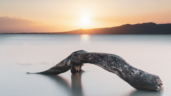 Gnarled driftwood log arching over still water at sunset, with mountains silhouetted against golden sky.