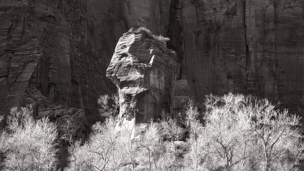Tall rock formation rising above sparse desert vegetation against towering canyon walls.