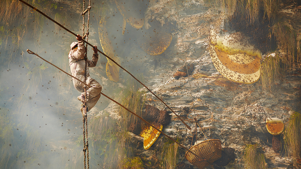 Person rappelling down a weathered, rust-stained concrete wall with rope and climbing gear.