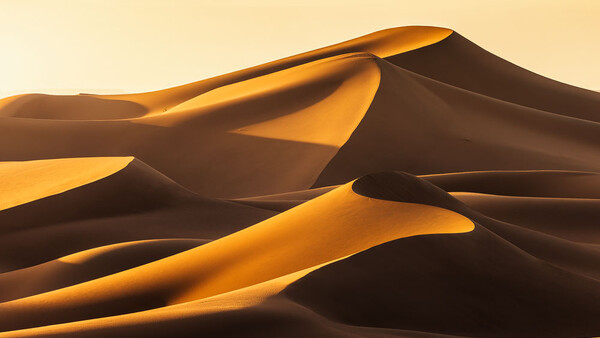 Golden sand dunes with dramatic shadows cast by late afternoon sunlight.