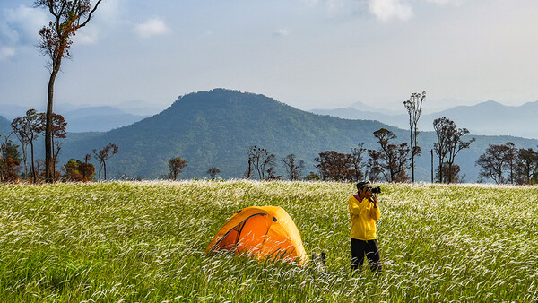 Person in yellow shirt standing next to orange tent in expansive green field with mountain backdrop.