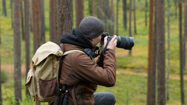 Photographer in forest wearing backpack, crouching to compose shot with telephoto lens.