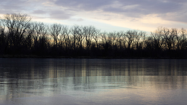 Bare trees reflected in still water at dusk, silhouetted against a cloudy sky.