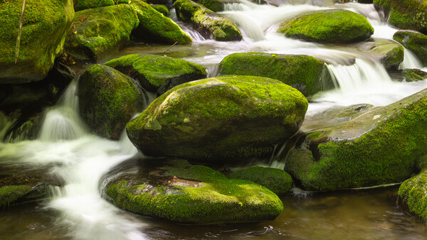 Moss-covered boulders in a flowing stream with smooth water blur effect.