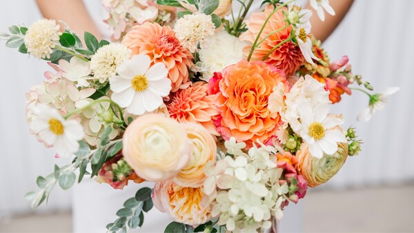 Person holding a bridal bouquet with coral dahlias, peach ranunculus, white cosmos, and eucalyptus foliage.