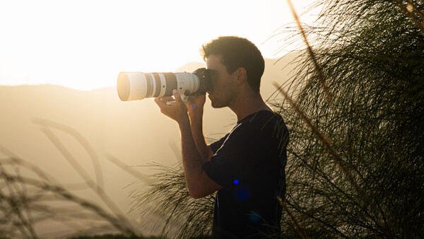 Photographer with telephoto lens shooting into golden sunset light near dried grass and tree branches.