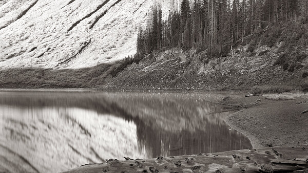 Snow-covered mountainside with coniferous forest reflected in still water, driftwood logs in foreground.
