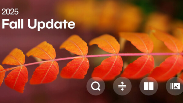 Screenshot of a 2025 Fall Update interface showing a gradient row of autumn leaves transitioning from yellow-orange to deep red.