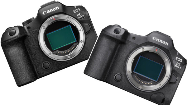 Two Canon EOS R6 Mark II mirrorless cameras displayed front-facing with sensor visible.