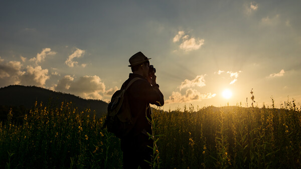 Silhouetted figure standing in a tall crop field at golden hour with mountains in the background.