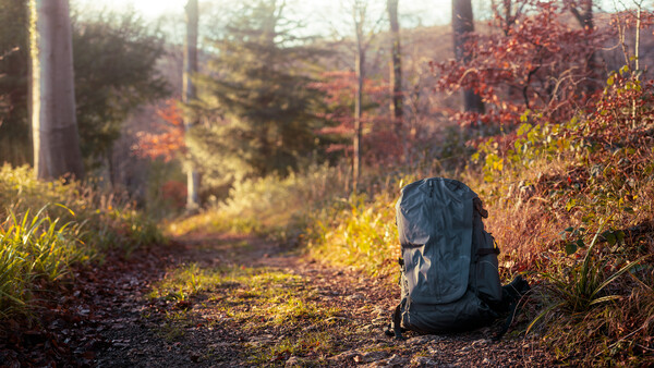 Blue backpack sitting on a forest trail surrounded by autumn foliage and dappled sunlight.