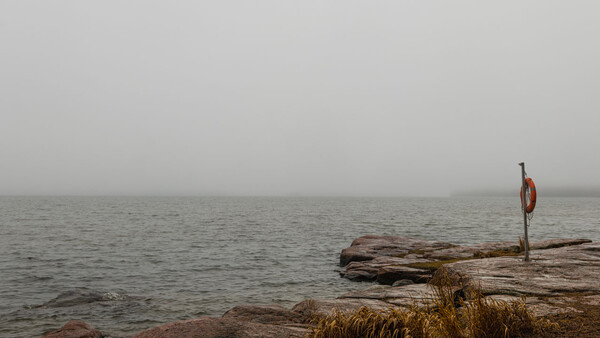 Life preserver mounted on weathered driftwood overlooking a foggy sea.