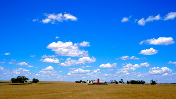 Vast flat agricultural field under bright blue sky with scattered white clouds and distant farm buildings.