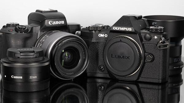 Canon and Olympus mirrorless camera bodies with lenses arranged on a reflective surface.