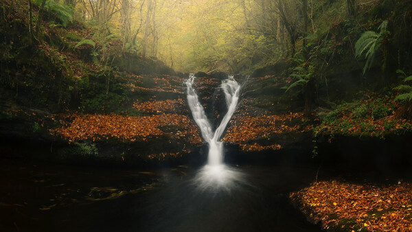 Waterfall splitting into two streams in a forested ravine with autumn leaves carpeting the ground.