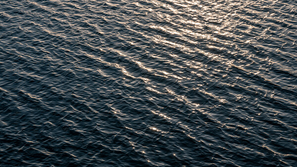 Open ocean water with rippling surface and golden light reflecting across the waves.